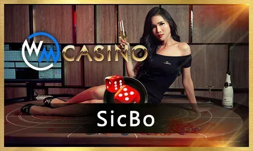 Live Casino with Real Dealers